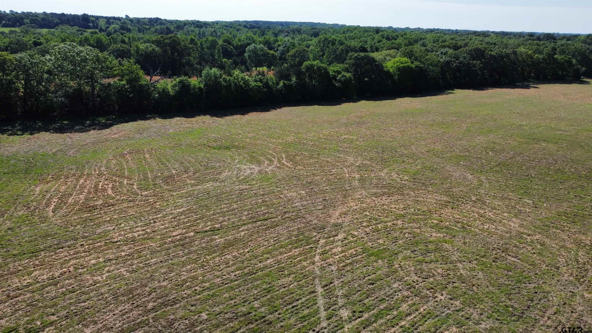 31.92 acres in Wood County - photo 25