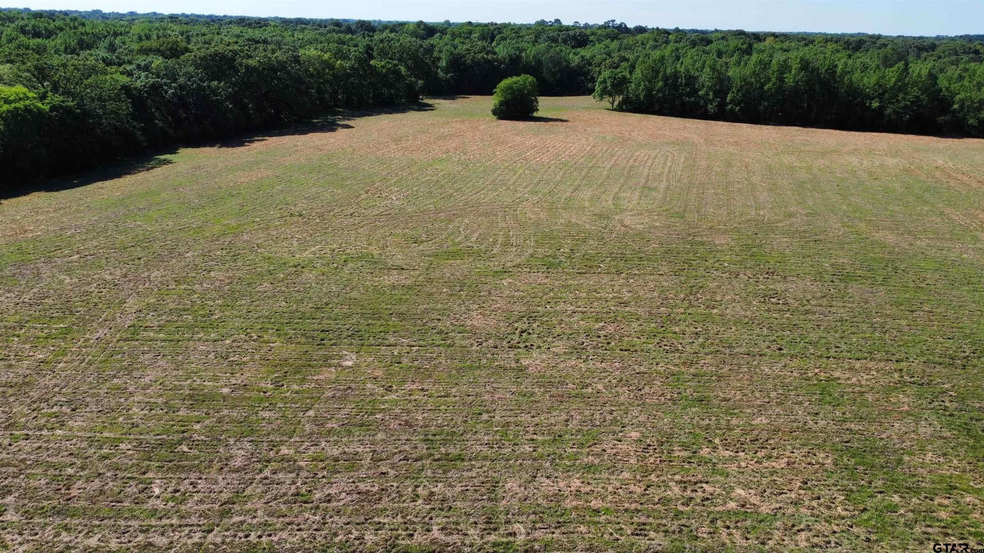 31.92 acres in Wood County - photo 24