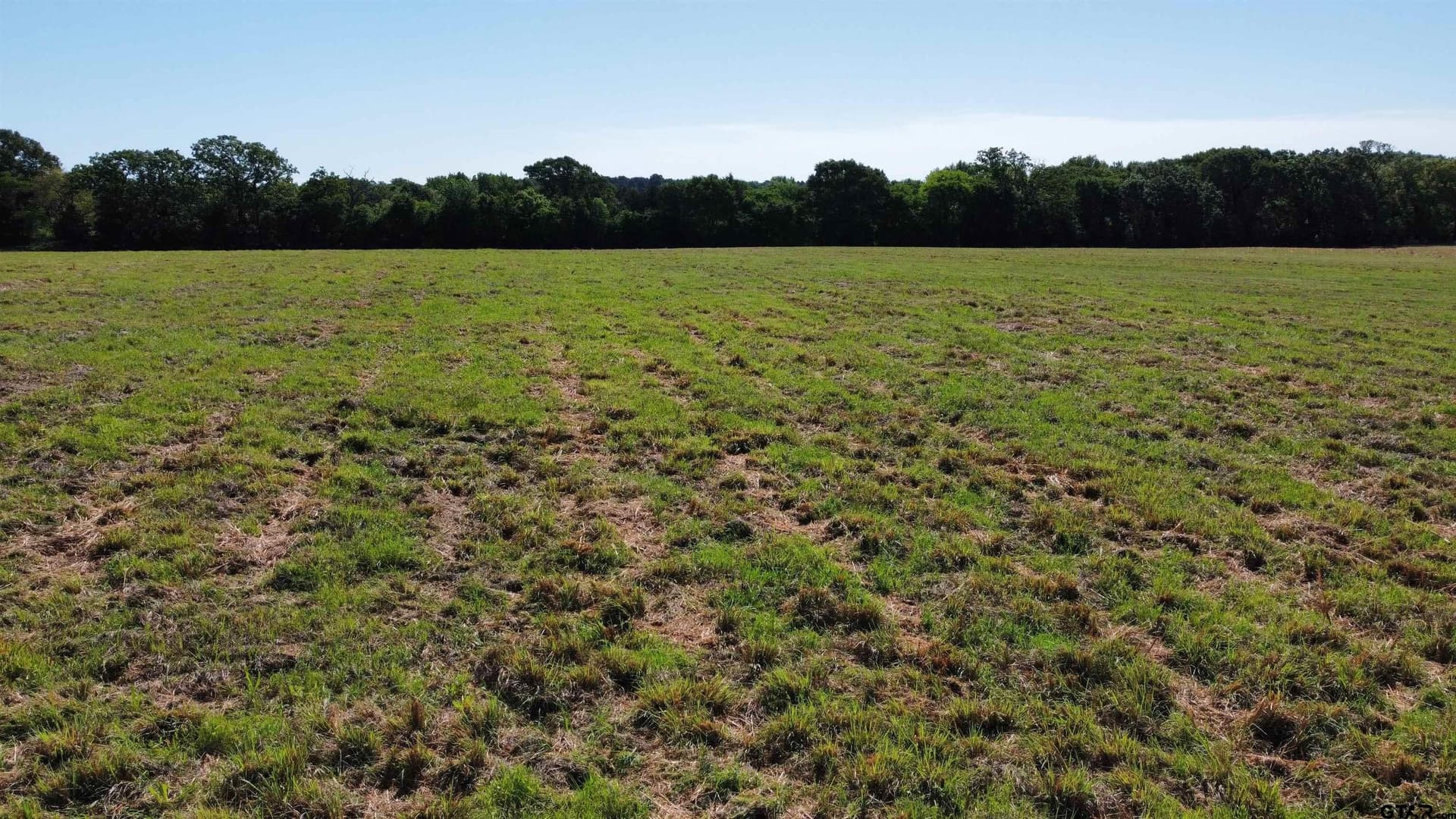 31.92 acres in Wood County - photo 9