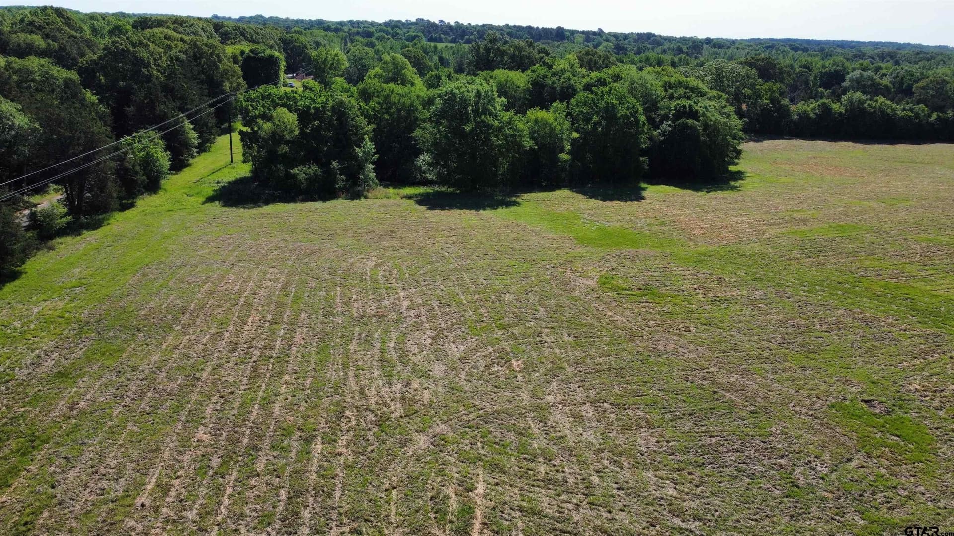 31.92 acres in Wood County - photo 28