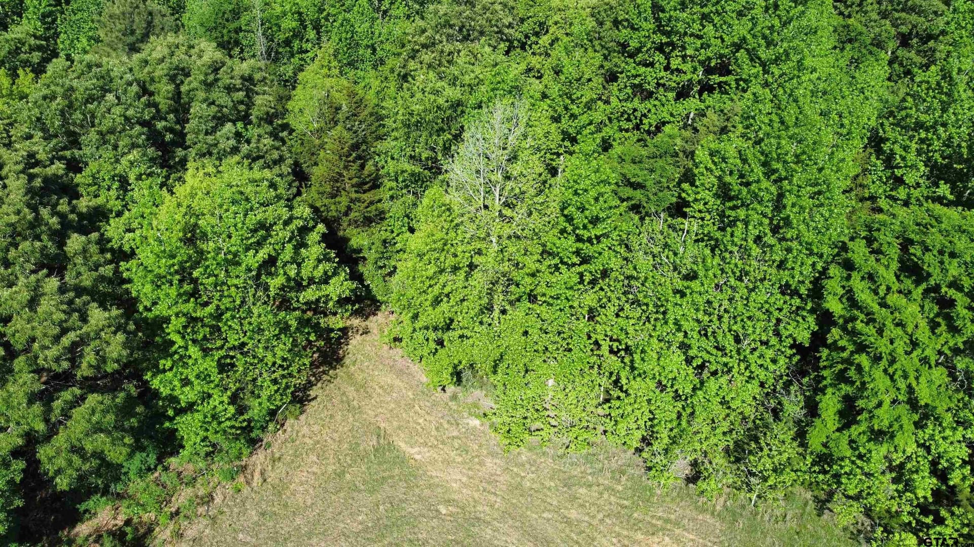 31.92 acres in Wood County - photo 16