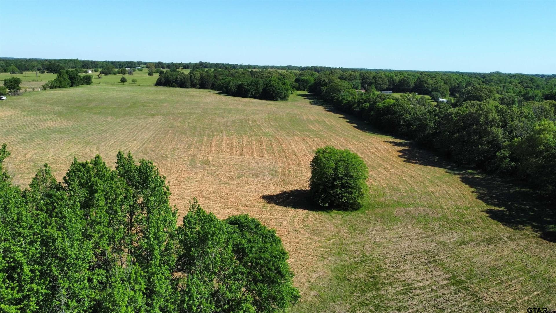 31.92 acres in Wood County - photo 3