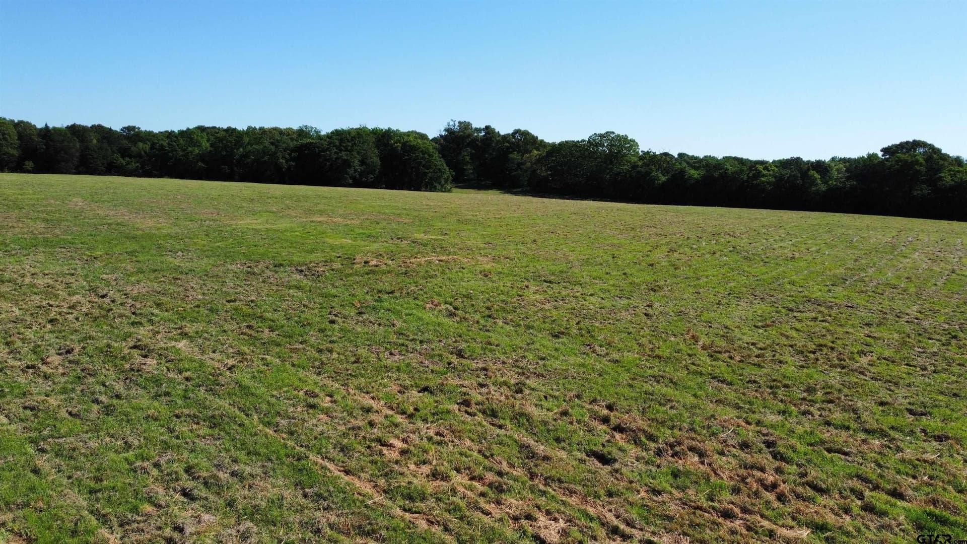 31.92 acres in Wood County - photo 5