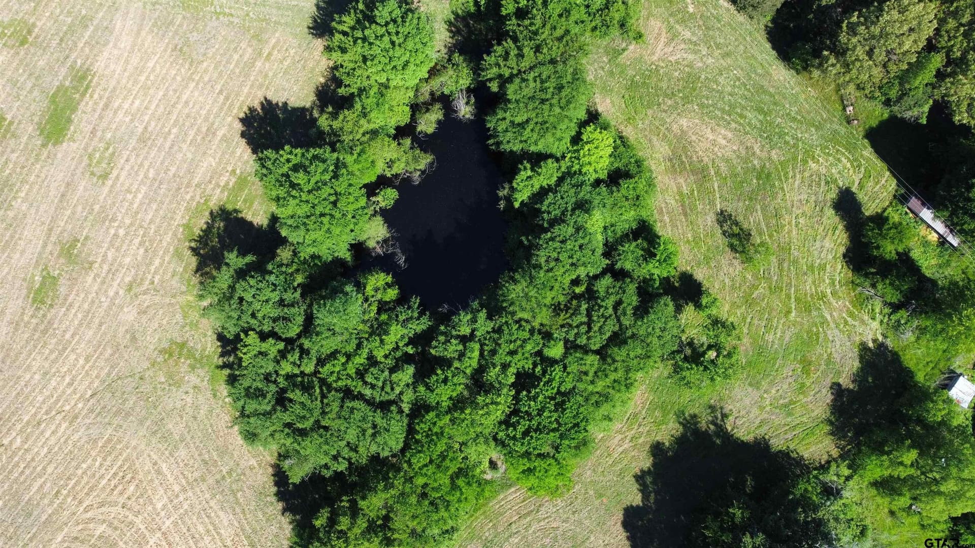 31.92 acres in Wood County - photo 30