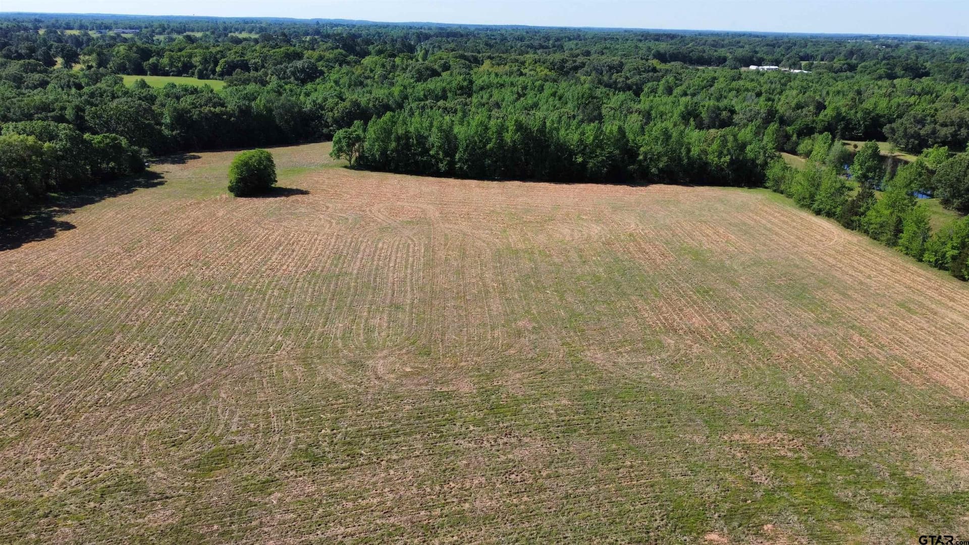 31.92 acres in Wood County - photo 22