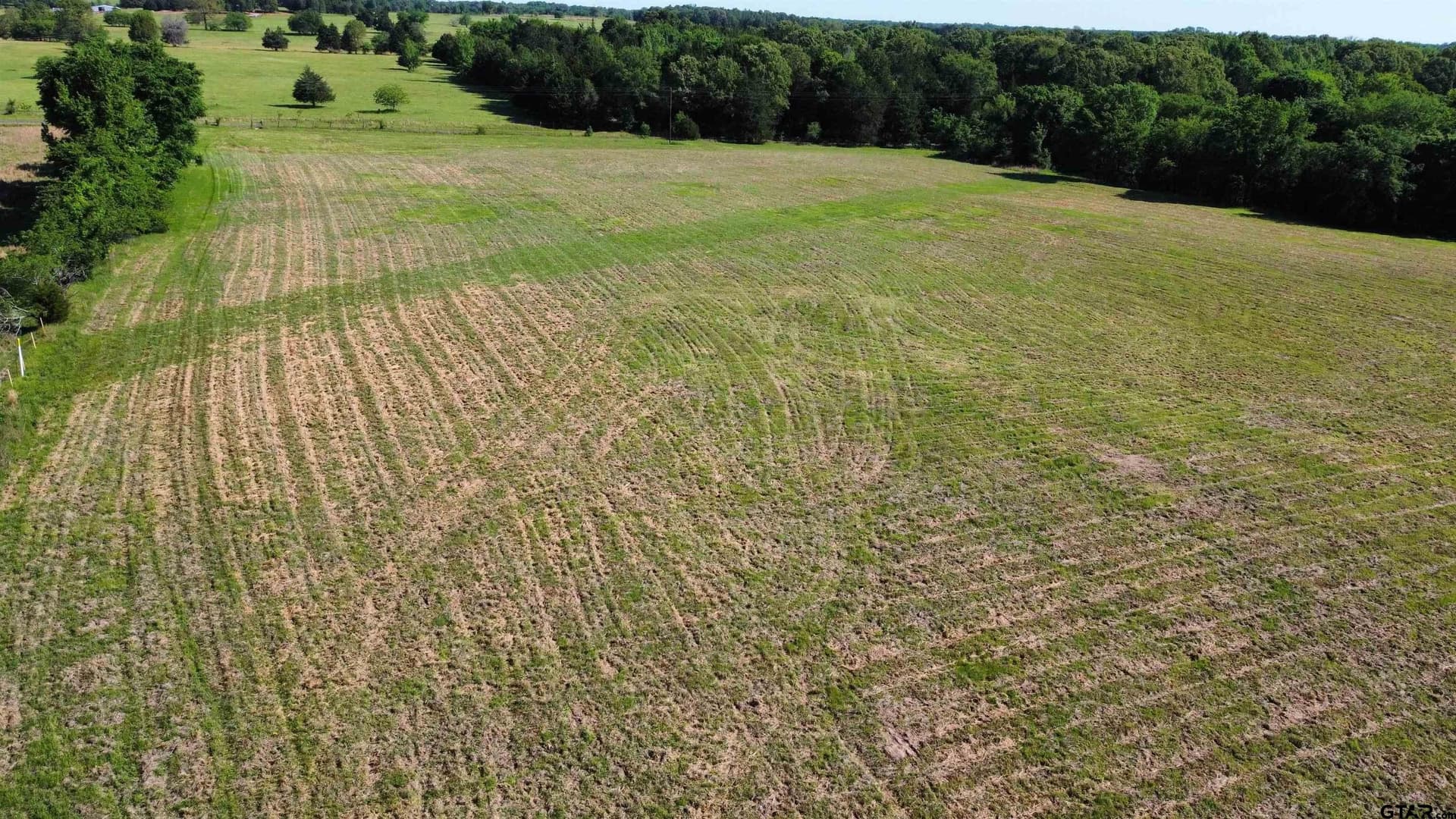 31.92 acres in Wood County - photo 29