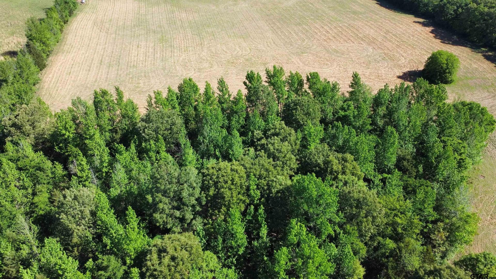 31.92 acres in Wood County - photo 17
