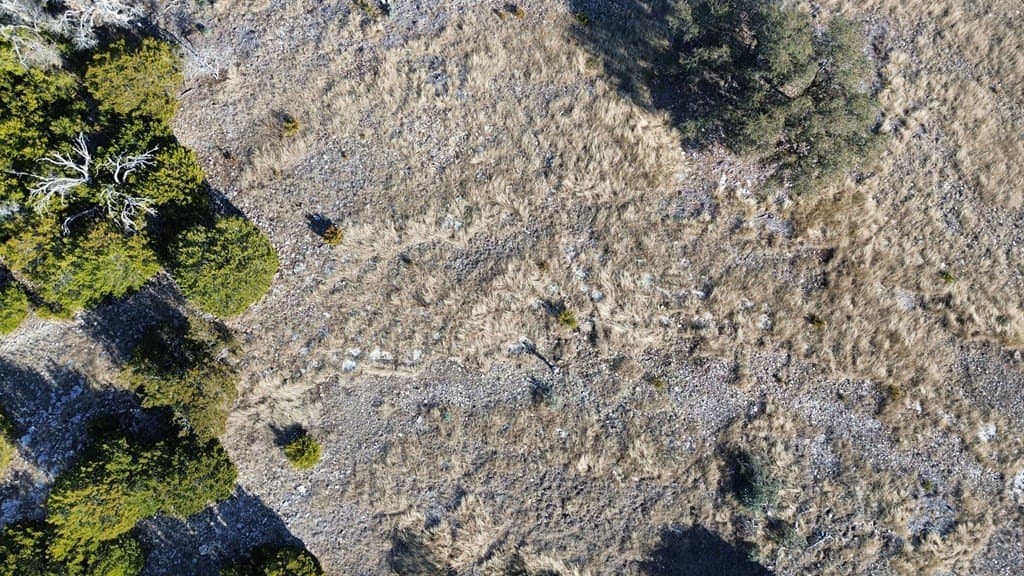 5.25 acres in Gillespie County featured view