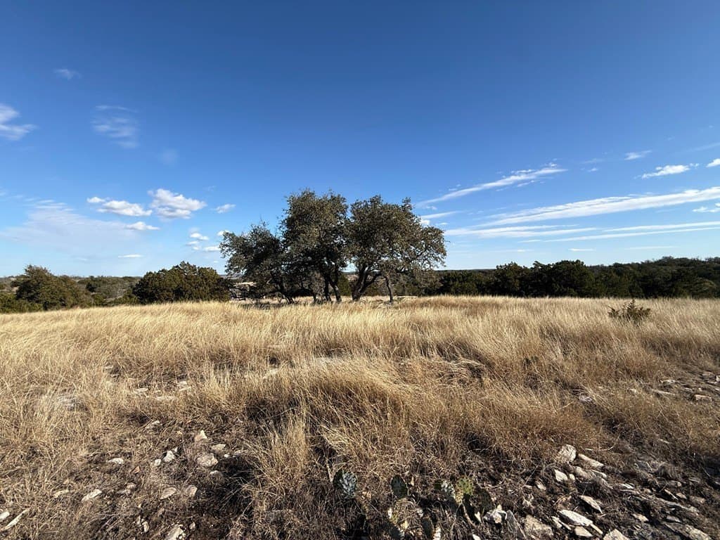 5.25 acres in Gillespie County - photo 9