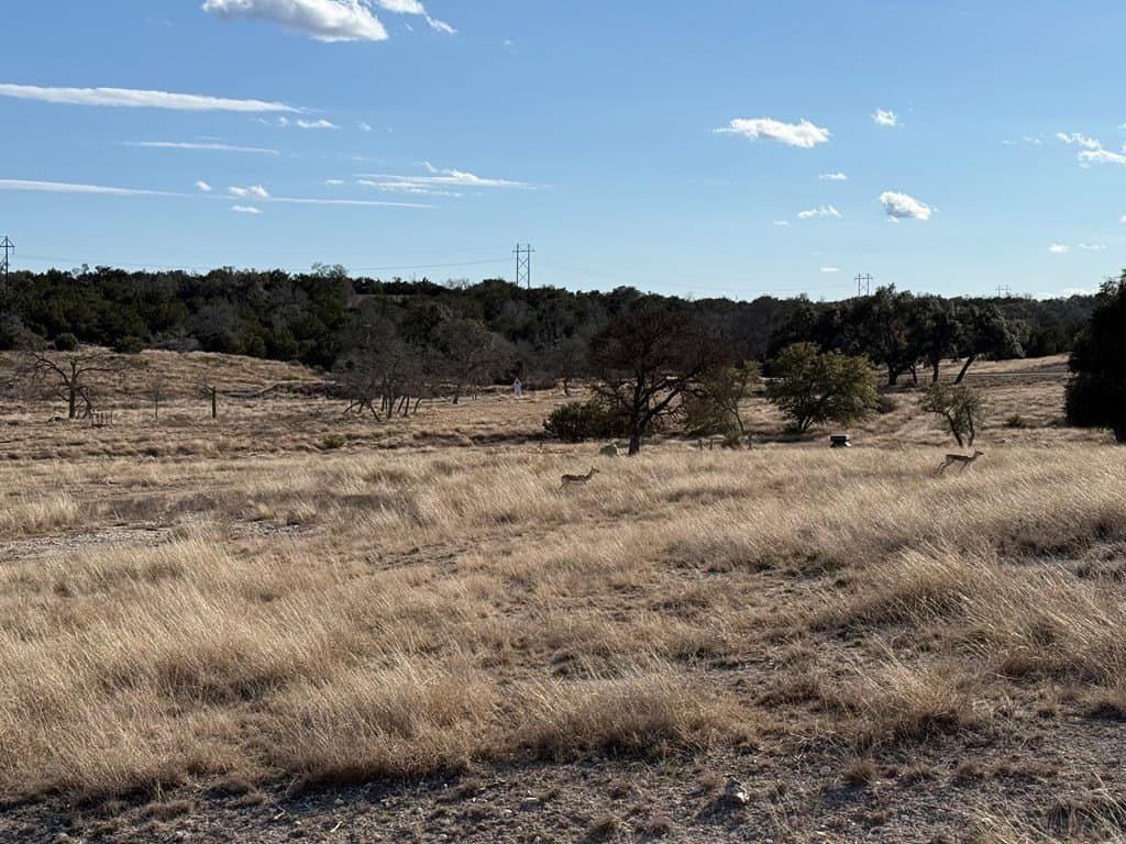 5.25 acres in Gillespie County gallery image 4