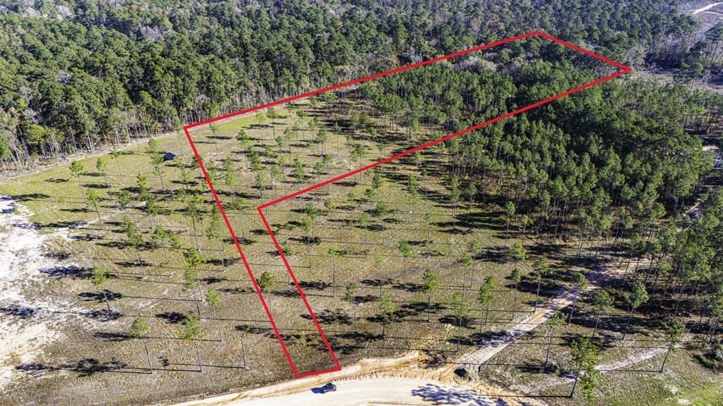 11.1 acres in Texas County gallery image 2