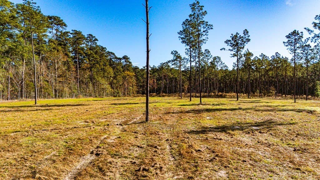 11.1 acres in Texas County gallery image 4