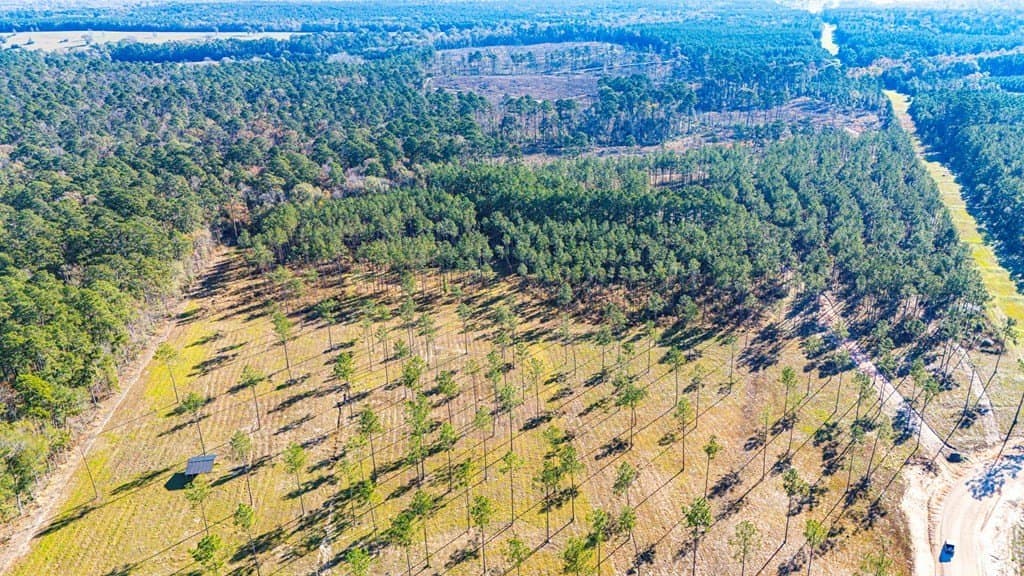 11.1 acres in Texas County featured view