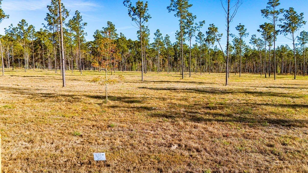 11.1 acres in Texas County gallery image 3