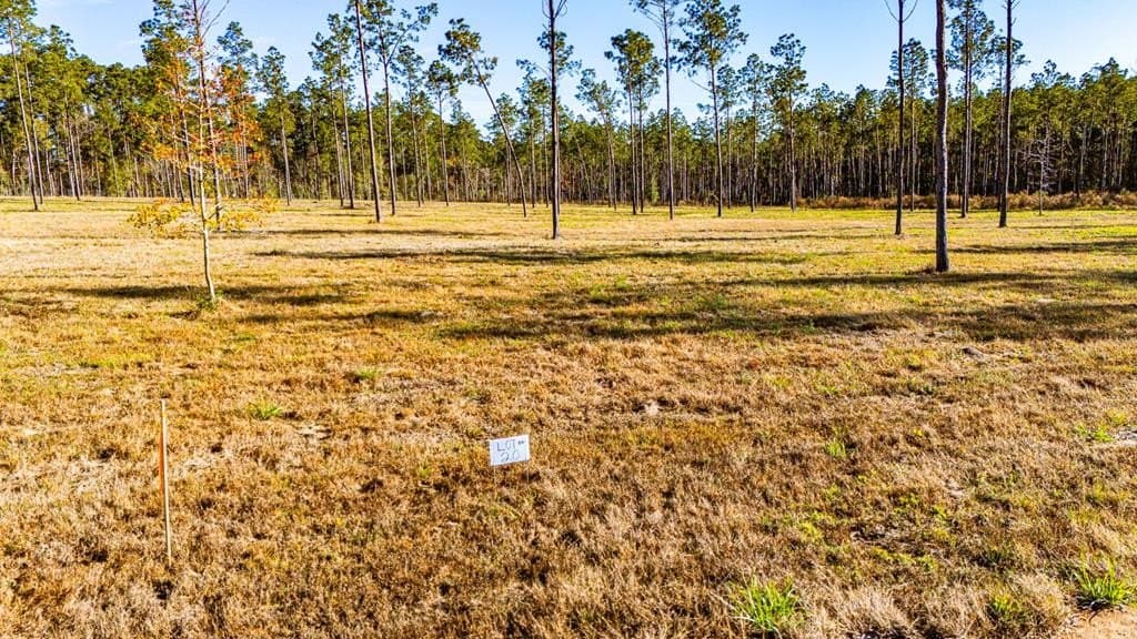 11.1 acres in Texas County