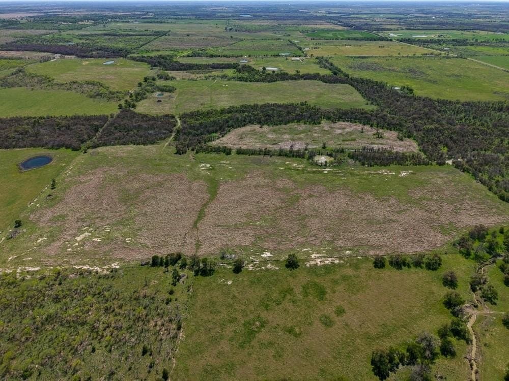 150 acres in Limestone County gallery image 4