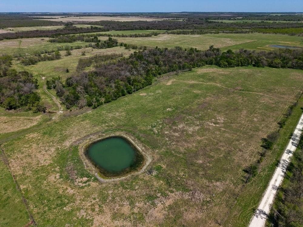 150 acres in Limestone County gallery image 2