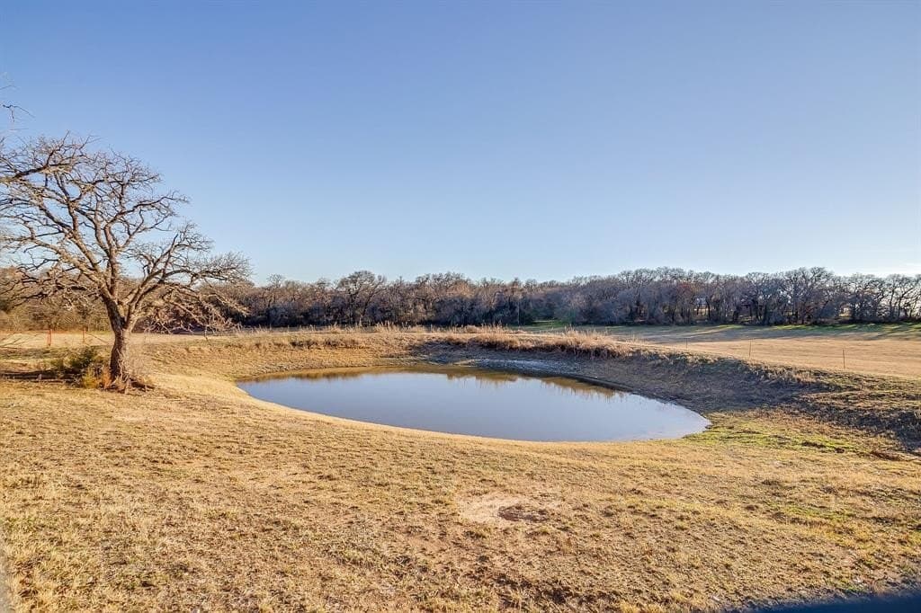 39.24 acres in Wise County gallery image 2