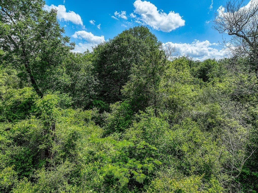 11.02 acres in Grimes County - photo 7