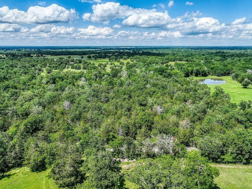 11.02 acres in Grimes County - photo 17