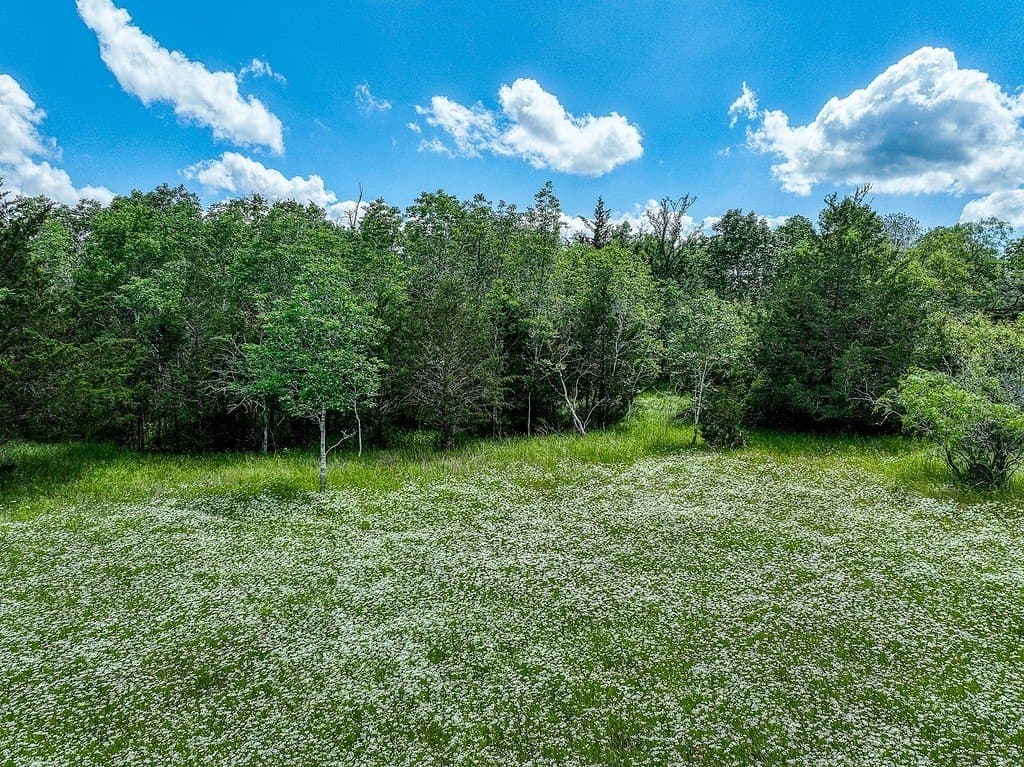 11.02 acres in Grimes County - photo 9
