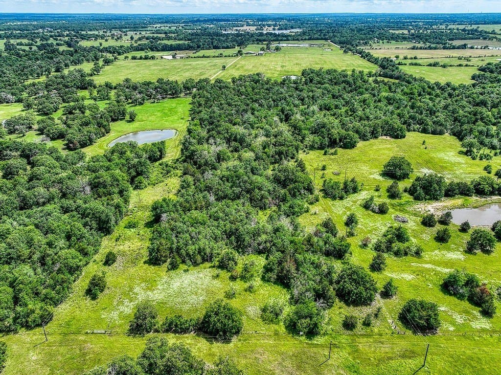 11.02 acres in Grimes County - photo 12