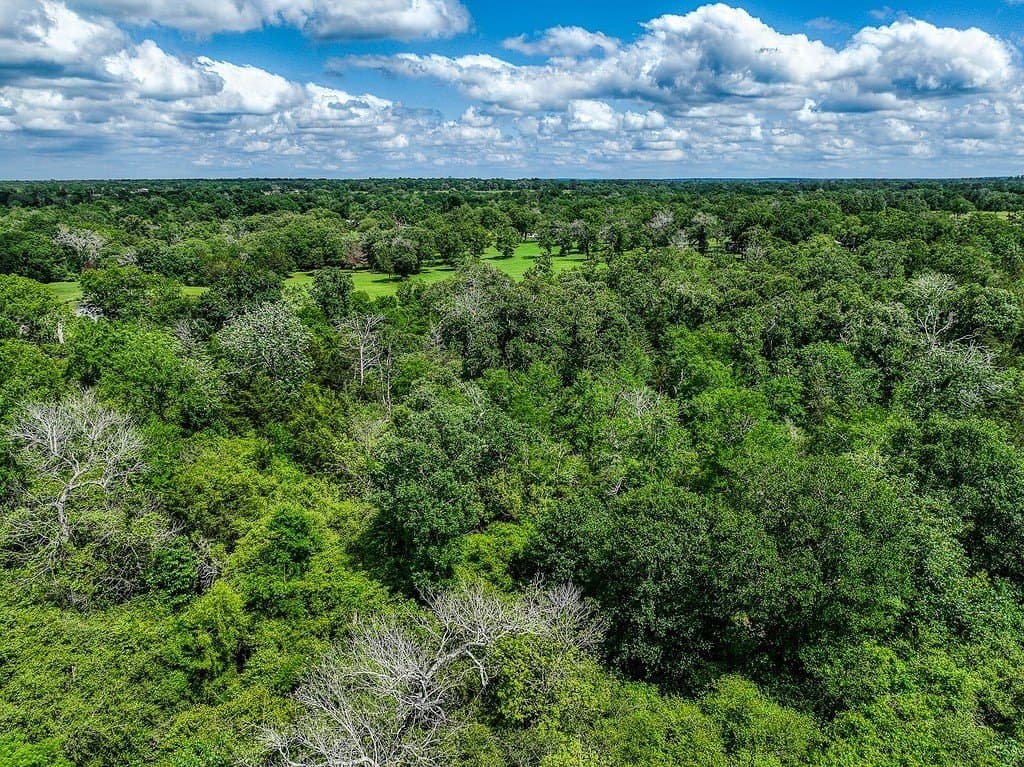11.02 acres in Grimes County featured view