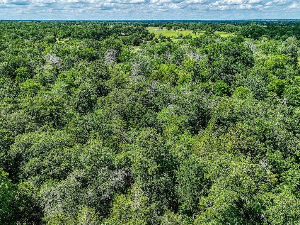 11.02 acres in Grimes County - photo 15