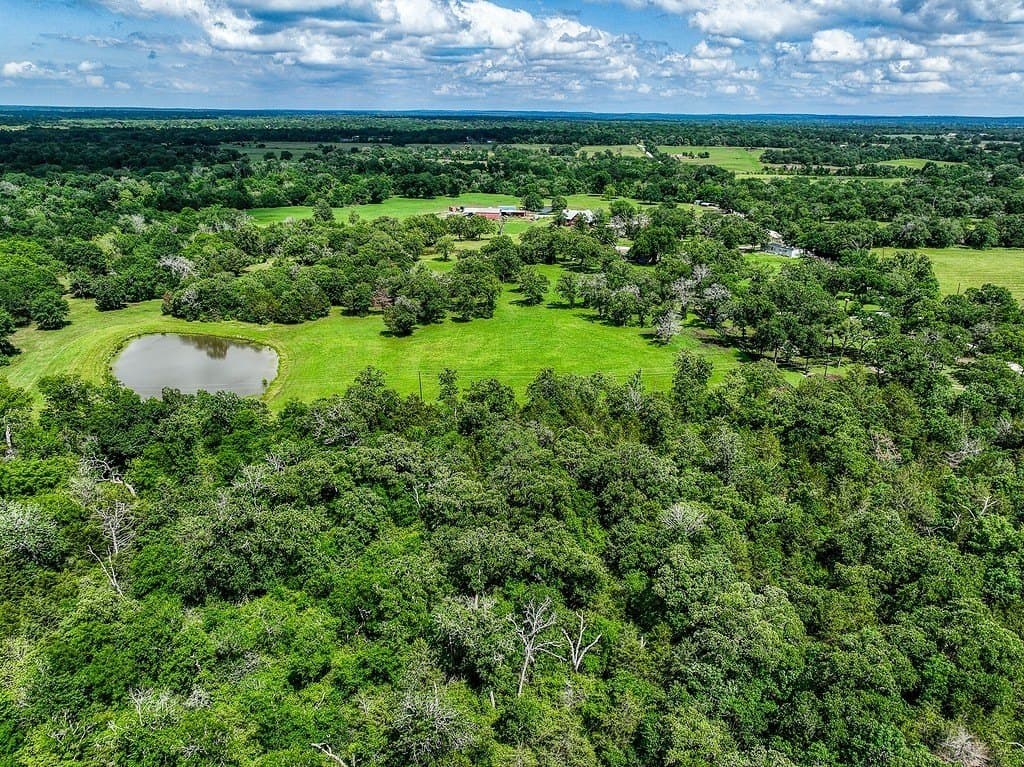 11.02 acres in Grimes County gallery image 3