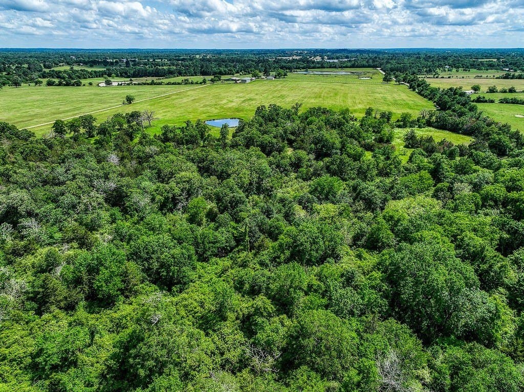 11.02 acres in Grimes County gallery image 4
