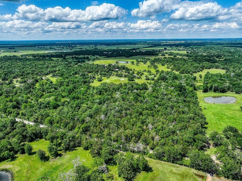 11.02 acres in Grimes County - photo 19