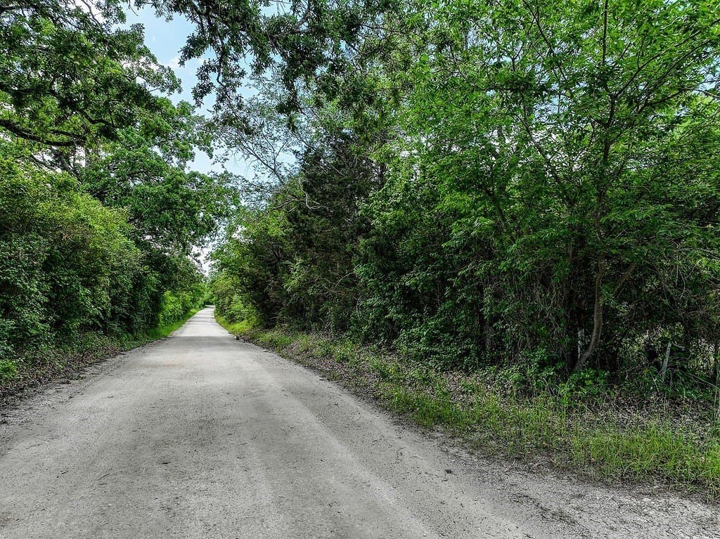 11.02 acres in Grimes County gallery image 2