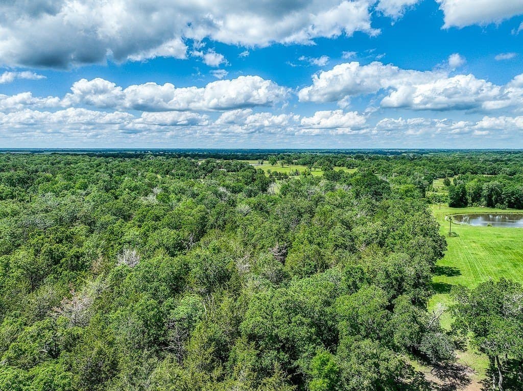 11.02 acres in Grimes County - photo 20