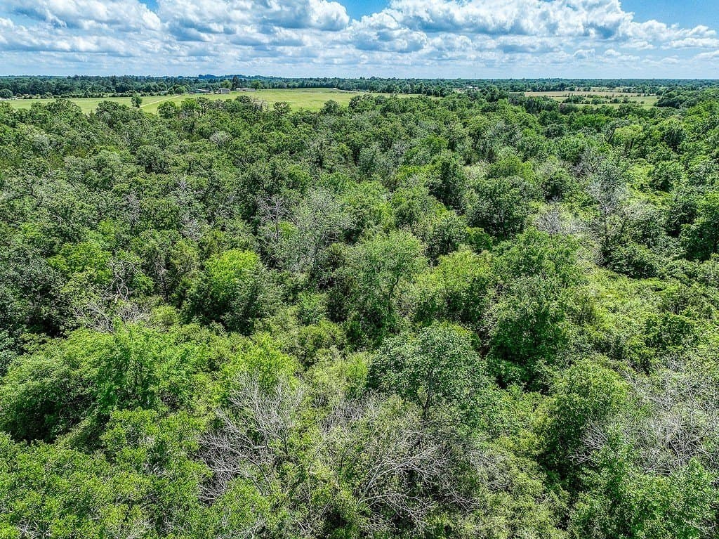 11.02 acres in Grimes County - photo 14