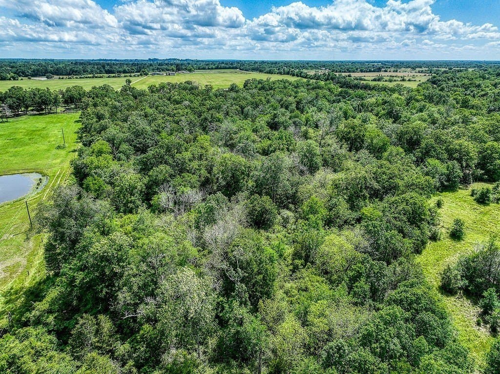 11.02 acres in Grimes County - photo 13