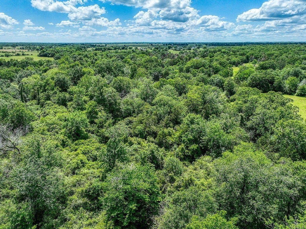 11.02 acres in Grimes County - photo 6