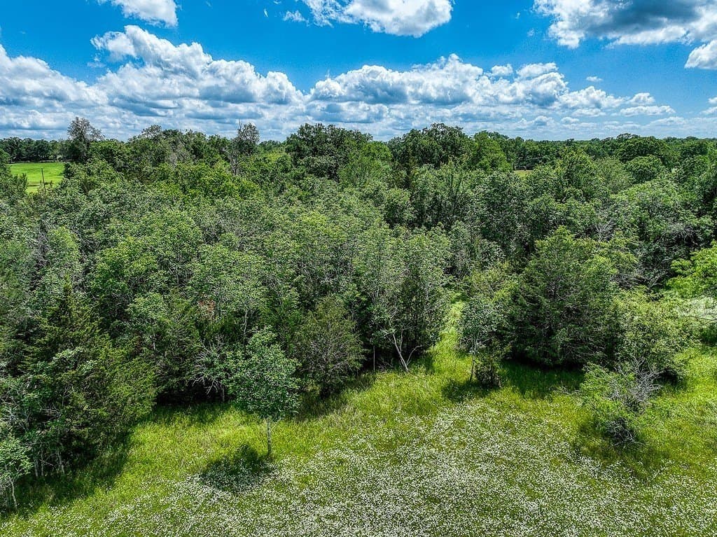 11.02 acres in Grimes County - photo 10