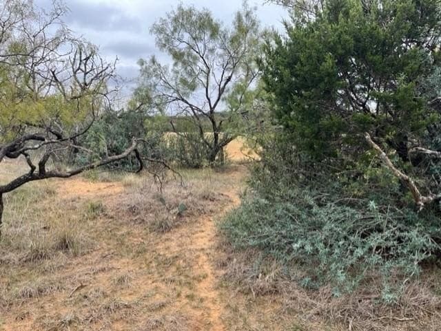 29.11 acres in Brown County gallery image 3