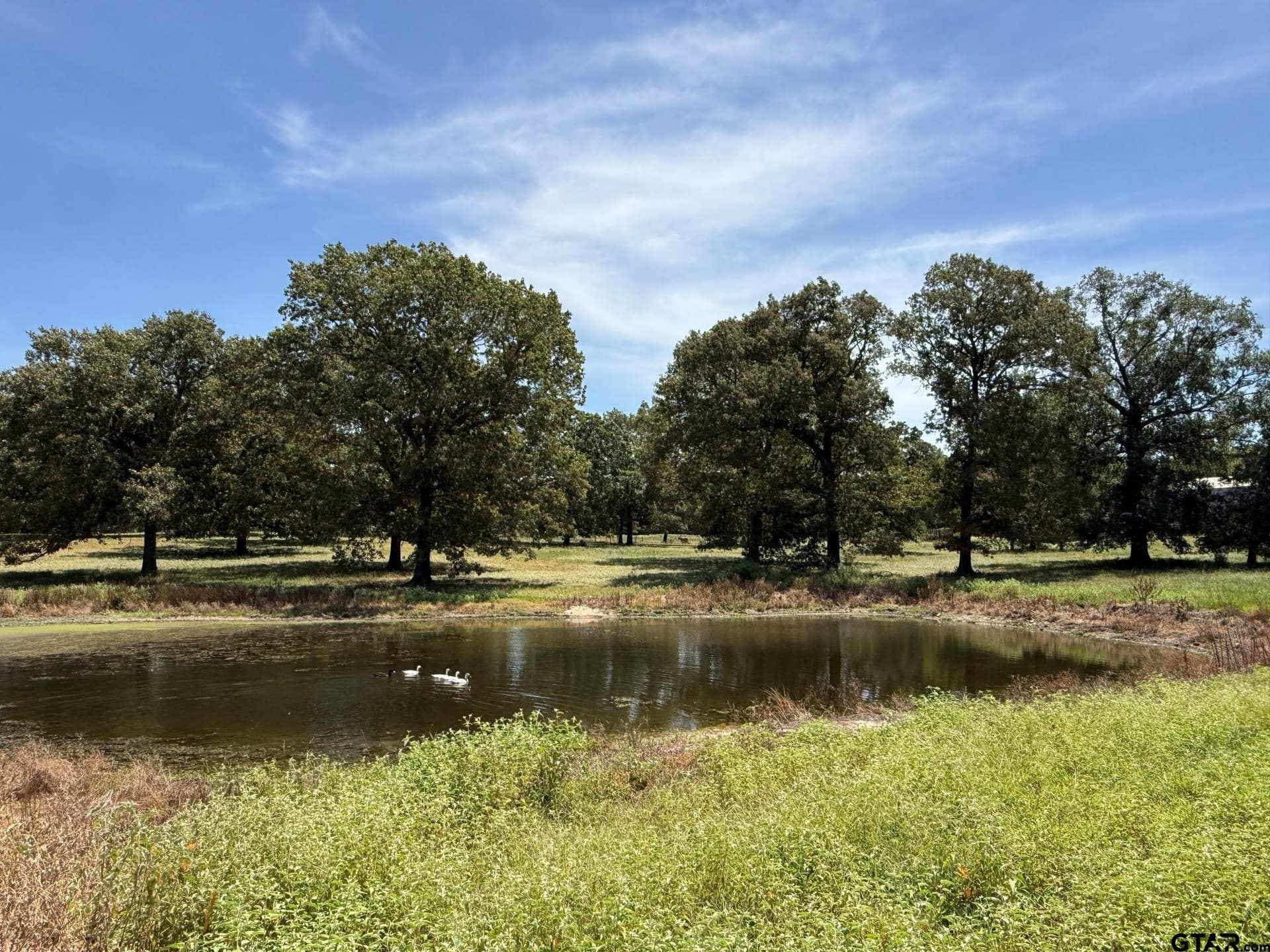 6.79 acres in Smith County