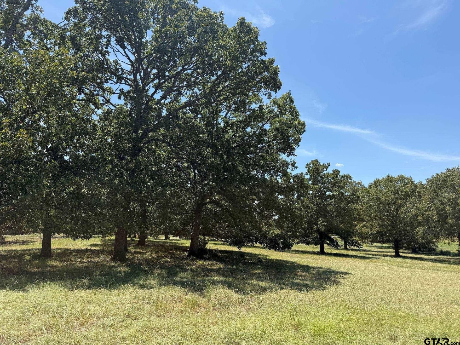6.79 acres in Smith County - photo 8