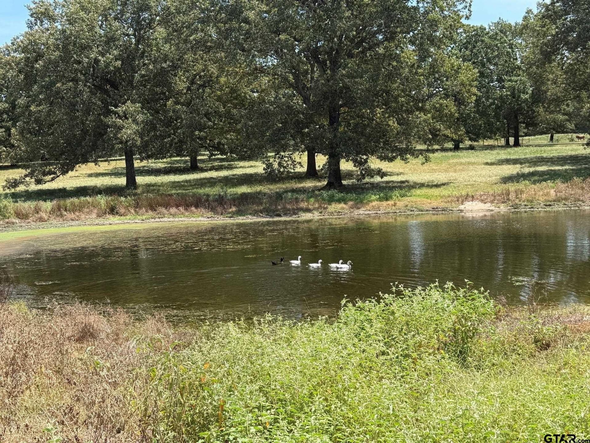 6.79 acres in Smith County - photo 7