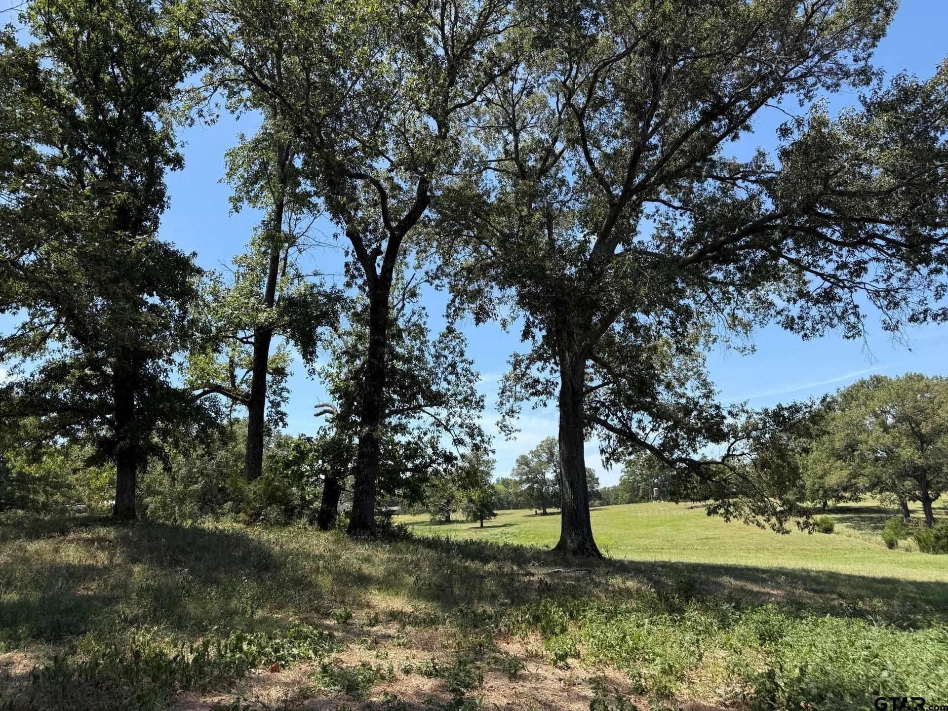 6.79 acres in Smith County - photo 9