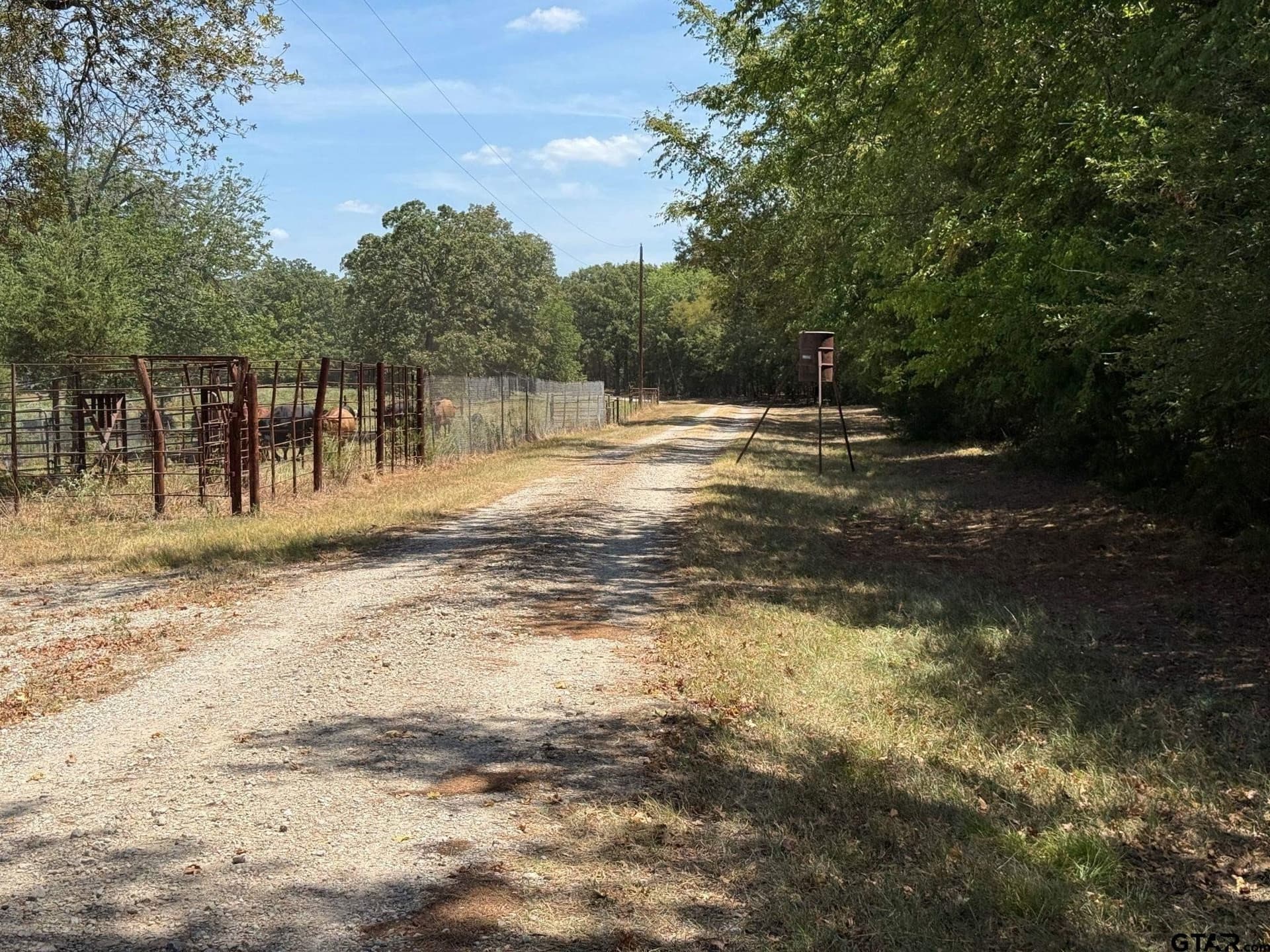 6.79 acres in Smith County - photo 15