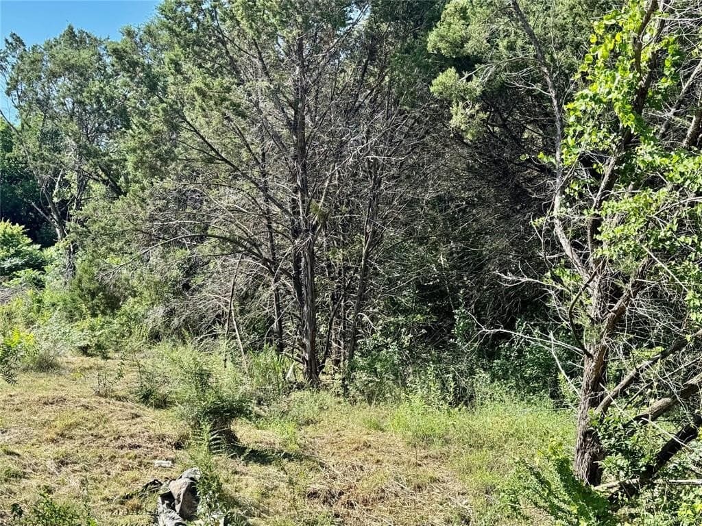 0.12 acres in Hood County featured view