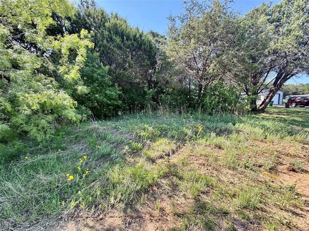 0.12 acres in Hood County gallery image 2