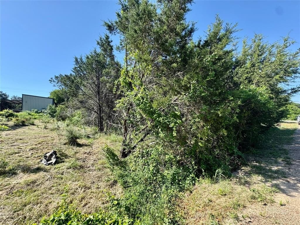 0.12 acres in Hood County gallery image 4