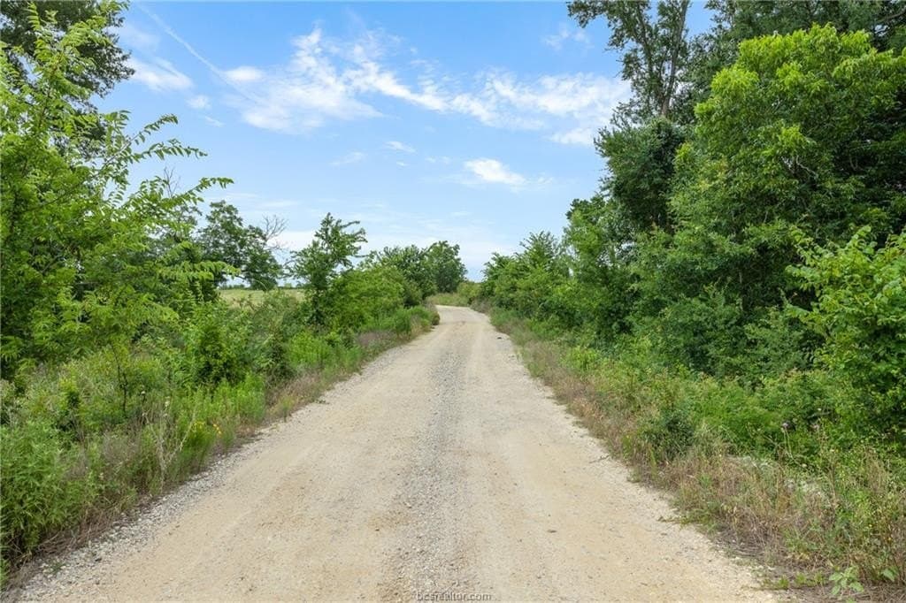 153.12 acres in Burleson County - photo 35