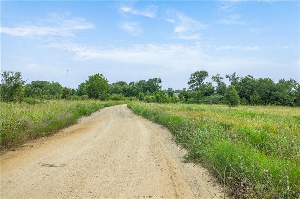 153.12 acres in Burleson County - photo 29