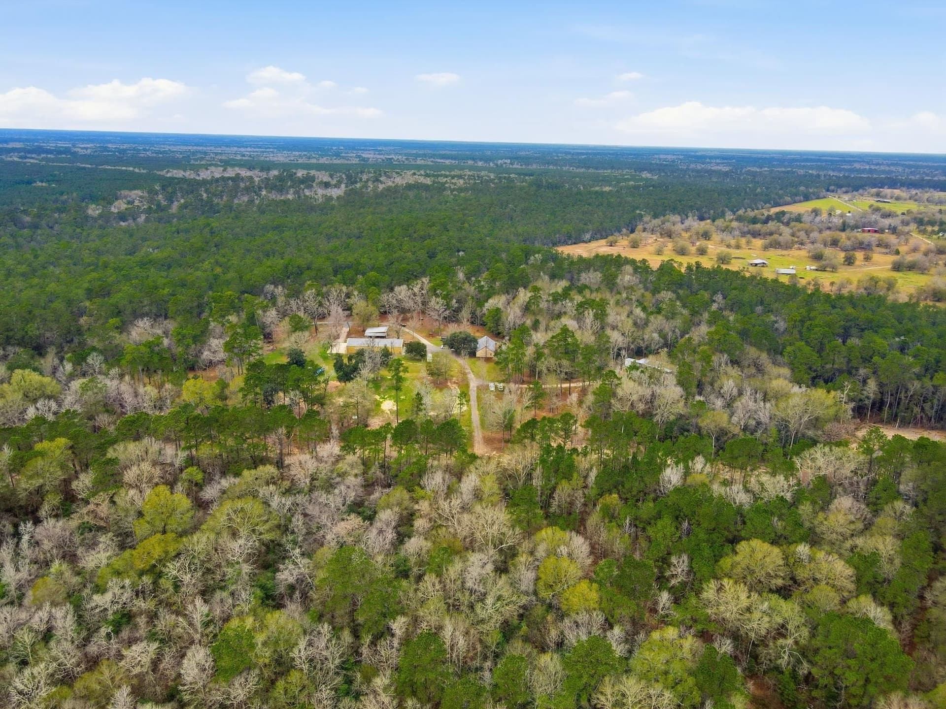 37 acres in Texas County gallery image 4