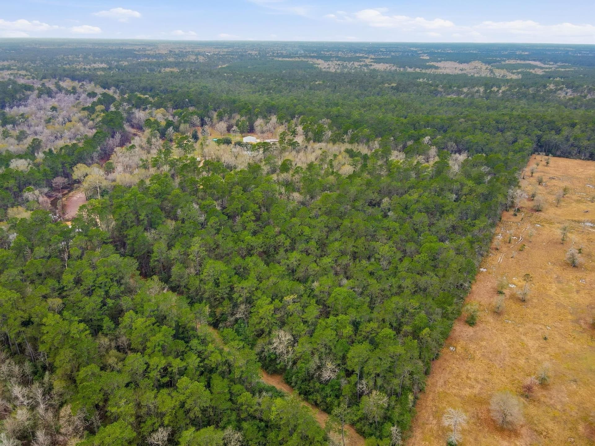 37 acres in Texas County gallery image 2